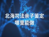 北海司法亲子鉴定哪里能做