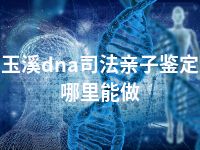 玉溪dna司法亲子鉴定哪里能做