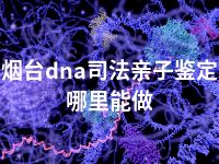 烟台dna司法亲子鉴定哪里能做