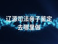 辽源司法亲子鉴定去哪里做