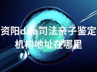 资阳dna司法亲子鉴定机构地址在哪里