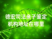 德宏司法亲子鉴定机构地址在哪里