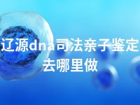 辽源dna司法亲子鉴定去哪里做