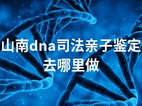 山南dna司法亲子鉴定去哪里做