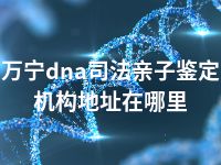 万宁dna司法亲子鉴定机构地址在哪里