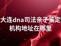 大连dna司法亲子鉴定机构地址在哪里