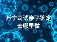 万宁司法亲子鉴定去哪里做