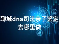 聊城dna司法亲子鉴定去哪里做