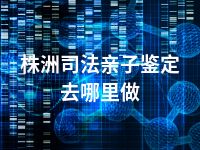 株洲司法亲子鉴定去哪里做