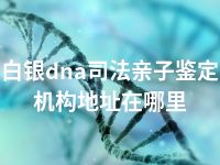 白银dna司法亲子鉴定机构地址在哪里