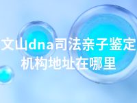 文山dna司法亲子鉴定机构地址在哪里