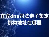 宜宾dna司法亲子鉴定机构地址在哪里