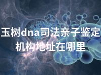 玉树dna司法亲子鉴定机构地址在哪里