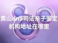黄山dna司法亲子鉴定机构地址在哪里
