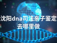 沈阳dna司法亲子鉴定去哪里做