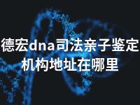 德宏dna司法亲子鉴定机构地址在哪里