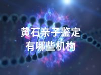黄石亲子鉴定有哪些机构