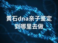 黄石dna亲子鉴定到哪里去做