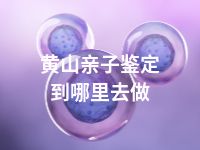 黄山亲子鉴定到哪里去做