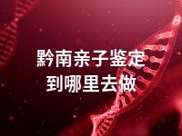 黔南亲子鉴定到哪里去做
