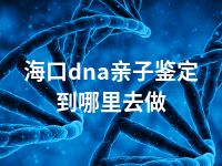 海口dna亲子鉴定到哪里去做