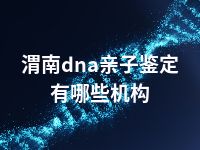 渭南dna亲子鉴定有哪些机构