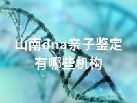 山南dna亲子鉴定有哪些机构