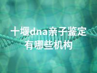 十堰dna亲子鉴定有哪些机构