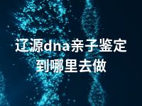 辽源dna亲子鉴定到哪里去做