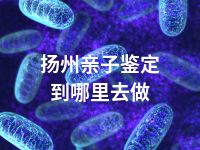 扬州亲子鉴定到哪里去做