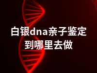 白银dna亲子鉴定到哪里去做