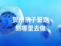 贺州亲子鉴定到哪里去做
