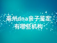 亳州dna亲子鉴定有哪些机构