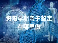 资阳孕期亲子鉴定在哪里做