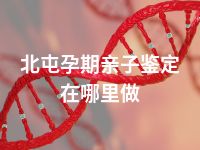 北屯孕期亲子鉴定在哪里做