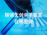 聊城无创亲子鉴定在哪里做