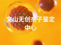 文山无创亲子鉴定中心