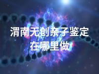 渭南无创亲子鉴定在哪里做