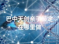 巴中无创亲子鉴定在哪里做