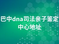 巴中dna司法亲子鉴定中心地址
