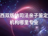 西双版纳司法亲子鉴定机构哪里专业