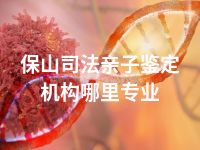 保山司法亲子鉴定机构哪里专业