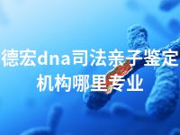 德宏dna司法亲子鉴定机构哪里专业