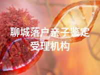 聊城落户亲子鉴定受理机构