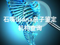 石嘴山dna亲子鉴定机构查询