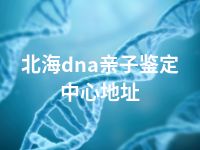 北海dna亲子鉴定中心地址