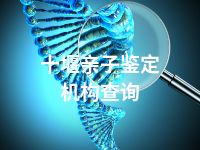 十堰亲子鉴定机构查询