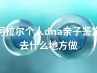 阿拉尔个人dna亲子鉴定去什么地方做