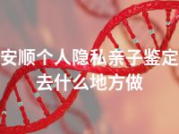 安顺个人隐私亲子鉴定去什么地方做