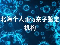 北海个人dna亲子鉴定机构